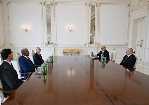 Prezident “Vista Equity Partners” şirkətinin icraçı direktorunu qəbul edib - YENİLƏNİB