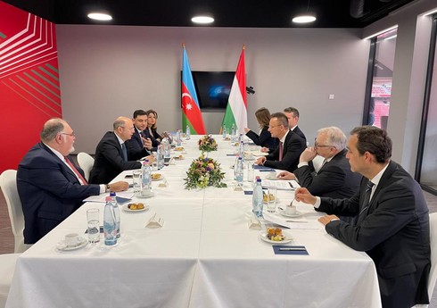 Pərviz Şahbazov: Pərviz Şahbazov: