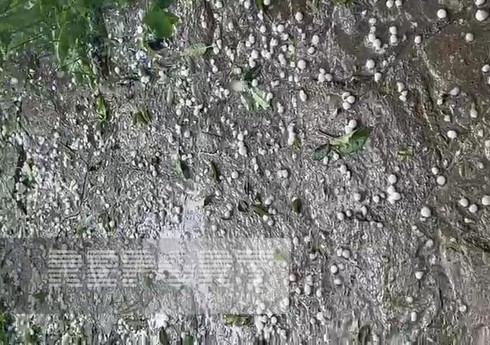 Qərb rayonlarının ucqar kəndlərinə dolu düşüb, təsərrüfata zərər dəyib