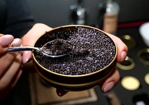 “Rosselxoznadzor” Ermənistandan kürü idxalı zamanı pozuntular aşkarlayıb “Rosselxoznadzor” Ermənistandan kürü idxalı zamanı pozuntular aşkarlayıb