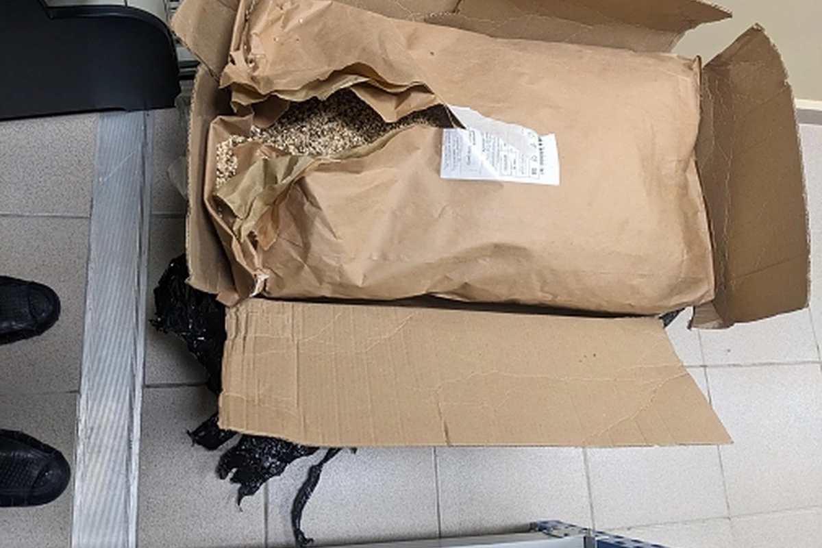 Rusiyada hava limanında 31 kiloqram radioaktiv göbələk aşkarlandı Rusiyada hava limanında 31 kiloqram radioaktiv göbələk aşkarlandı