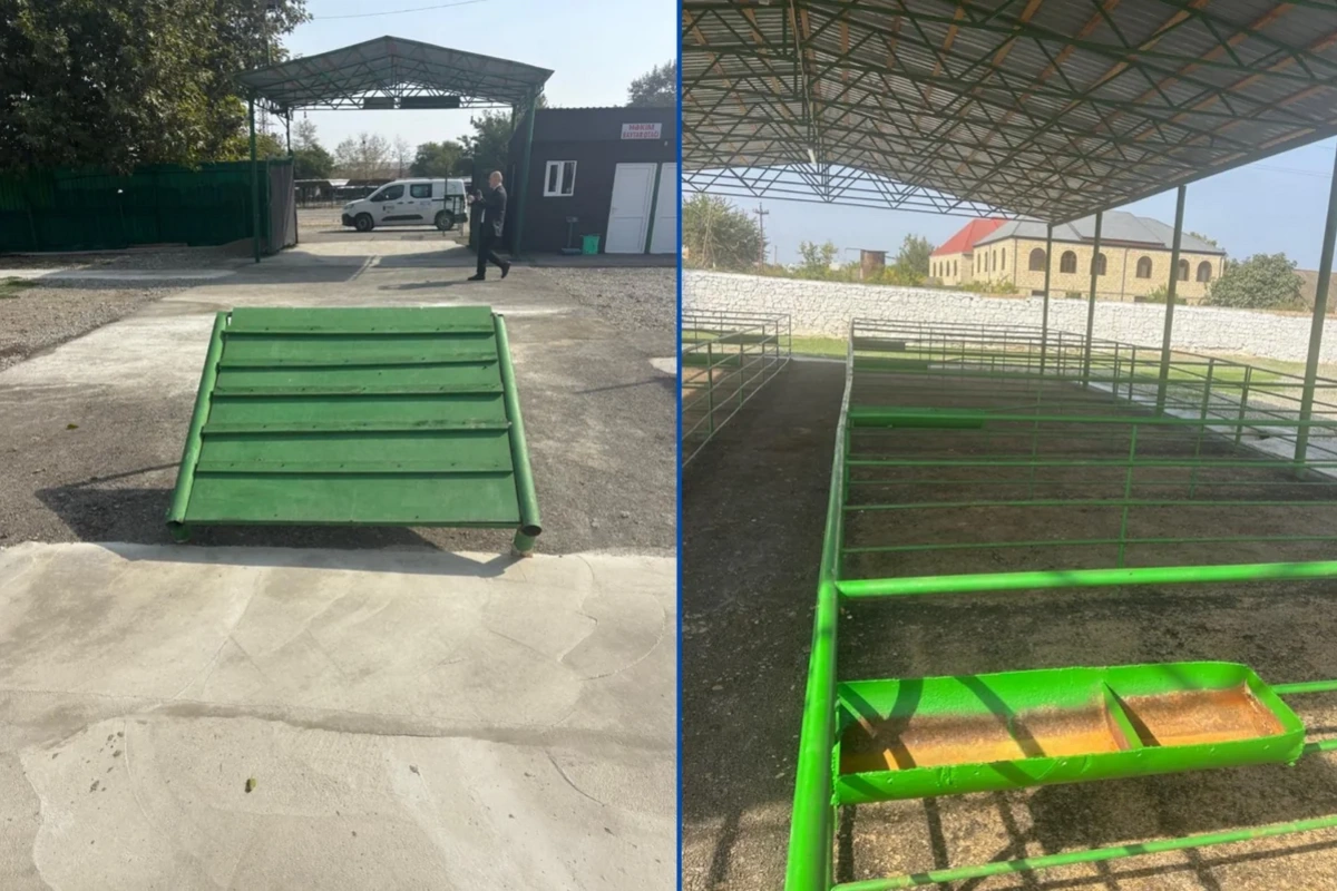 Şəmkirdə yeni heyvan satışı bazarı fəaliyyətə başlayıb Şəmkirdə yeni heyvan satışı bazarı fəaliyyətə başlayıb
