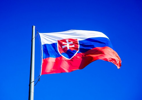 Slovakiya Azərbaycanın minasızlaşdırma səylərinə dəstək vermək niyyətindədir Slovakiya Azərbaycanın minasızlaşdırma səylərinə dəstək vermək niyyətindədir