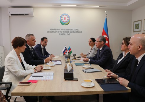 Sloveniyanın ətraf mühit, iqlim və energetika naziri ilə COP29-a hazırlıq müzakirə olunub Sloveniyanın ətraf mühit, iqlim və energetika naziri ilə COP29-a hazırlıq müzakirə olunub