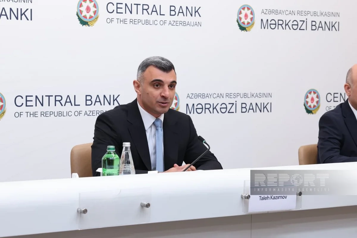 Taleh Kazımov: 