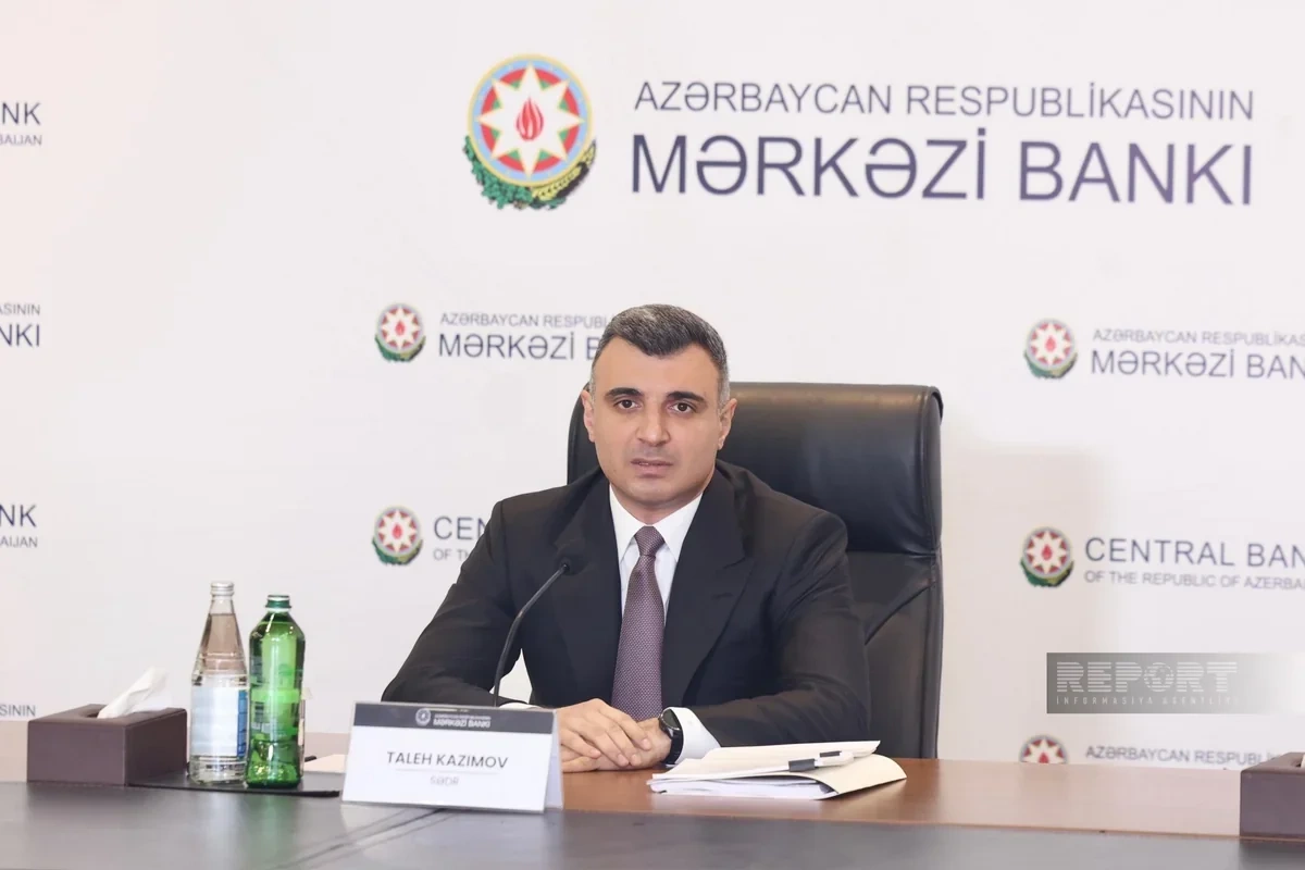 Taleh Kazımov: 