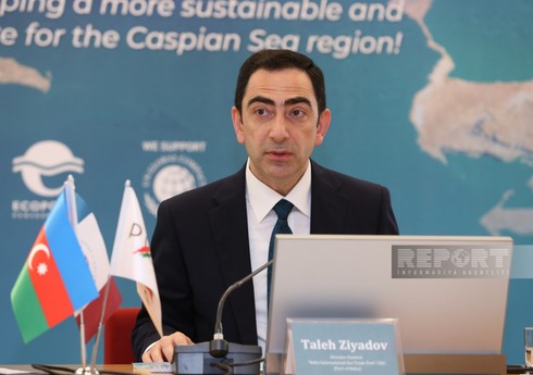 Taleh Ziyadov: 