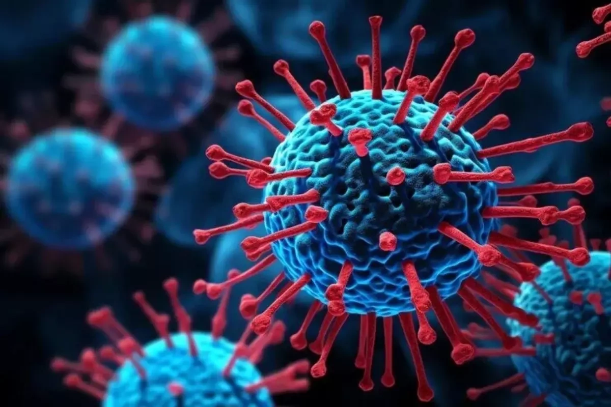 Təhlükəli virus! Yağış mövsümündə artır Təhlükəli virus! Yağış mövsümündə artır