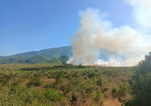 Türkiyənin Burdur vilayətində meşə yanğını başlayıb, 5 təyyarə cəlb olunub