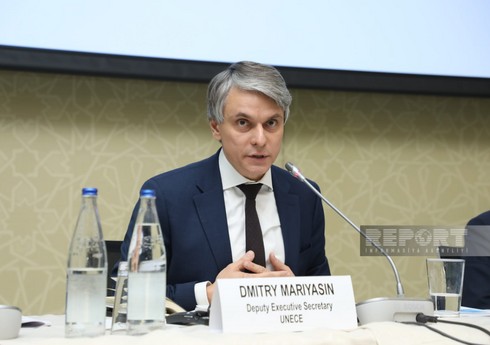UNECE rəsmisi: UNECE rəsmisi:
