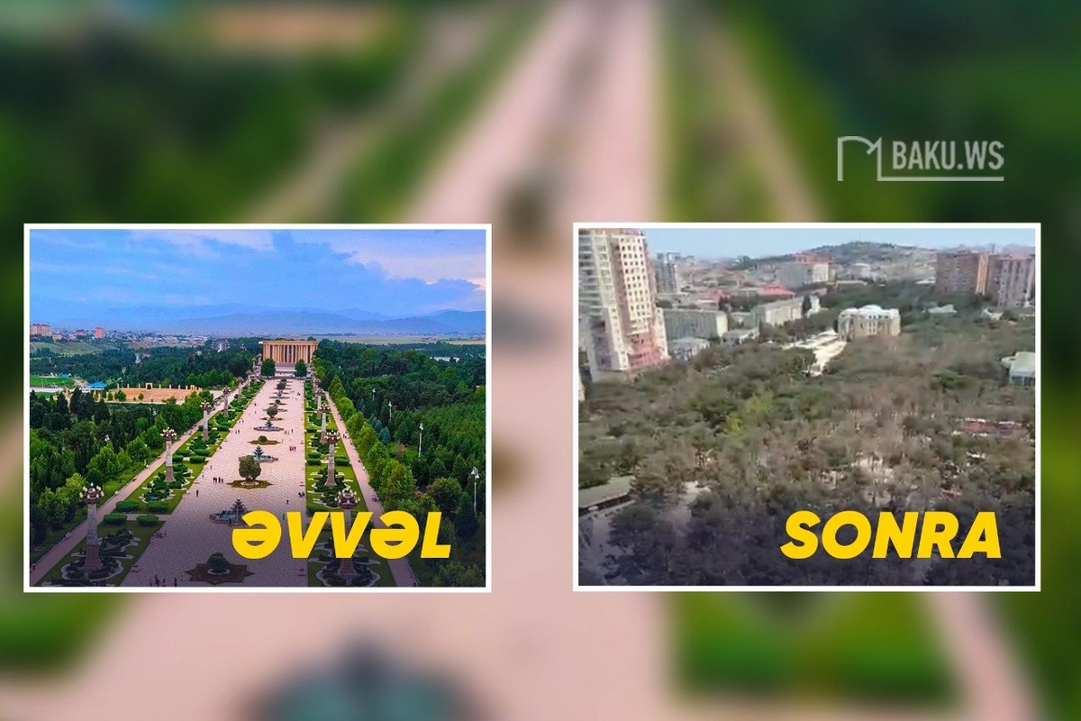 Xırdalandakı Heydər Parkında ağaclar quruyur