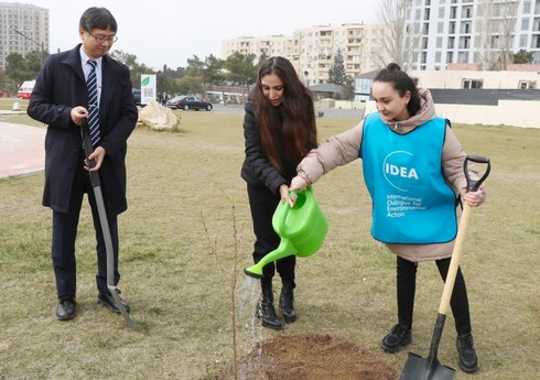 “Yaşıl Marafon 2023” ağacəkmə kampaniyasına start verilib “Yaşıl Marafon 2023” ağacəkmə kampaniyasına start verilib