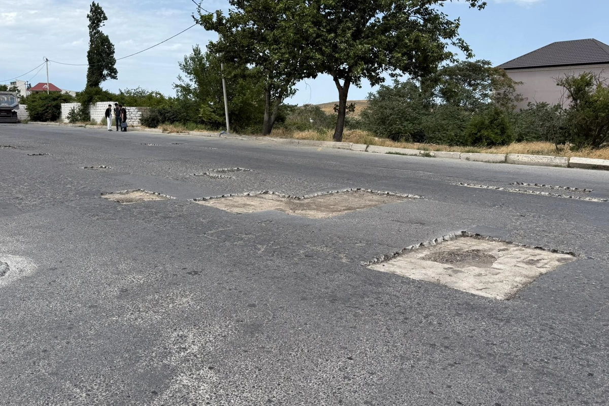 Yeni Günəşlinin Yeni Günəşlinin